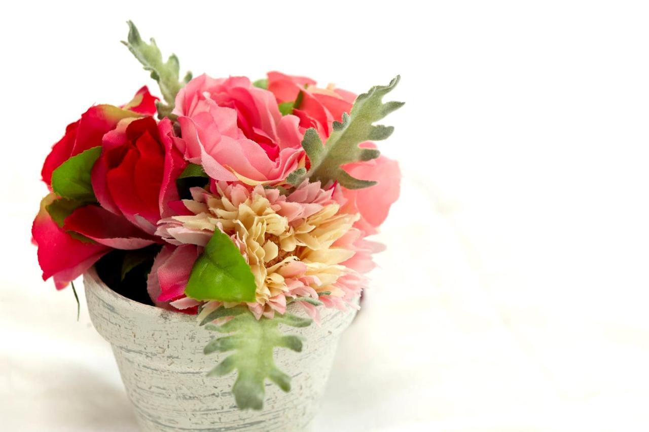 Cherry Blooming Tokyo- All Suite Boutique Hotel 东京伊樱里-中央区全套房艺术酒店 Eksteriør billede